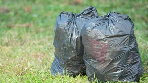 Feto de 1,4 kg é encontrado dentro de saco de lixo no litoral de SP - Imagem: reprodução Freepik