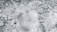 Exames no IML serão essenciais para determinar a causa da morte e identificar a mãe do recém-nascido encontrado em Cubatão - Foto: Redes sociais