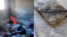 O incêndio em Guarujá deixou uma bebê de 11 meses morta e um irmão de dois anos em estado grave; a adolescente confessou o crime - Imagem: Reprodução