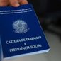 A Embraps promove nesta quarta-feira (28) um processo seletivo presencial com 80 vagas de emprego em Santos - Imagem: Geraldo Bubniak/AEN