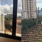 Um gavião-asa-de-telha foi fotografado próximo à janela de um escritório em Santos - Imagem: Arquivo Pessoal/Rosemary Clementino