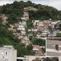 Saruê foi flagrado atravessando uma rua pela faixa de pedestres durante um passeio no bairro Marapé, em Santos; registro foi feito por uma moradora por volta das 6h - Imagem: Arquivo Pessoal/Kátia da Silva
