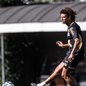 Próximo jogo do Santos será contra o Mirassol, enquanto a equipe se prepara para o importante duelo contra o Flamengo - Foto: Raul Baretta/ Santos FC