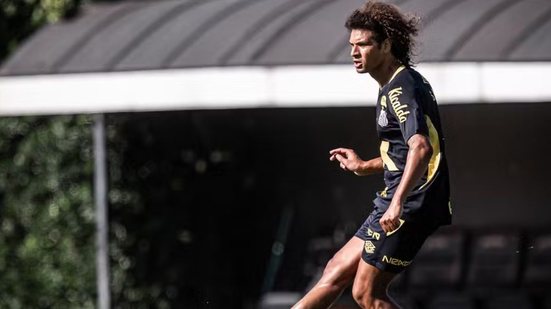 Próximo jogo do Santos será contra o Mirassol, enquanto a equipe se prepara para o importante duelo contra o Flamengo - Foto: Raul Baretta/ Santos FC