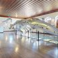 Nova plataforma permite que visitantes conheçam os ambientes e o acervo do Museu de Pesca de Santos por meio de um tour virtual em 3D - Imagem: Museu de Pesca