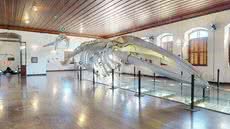 Nova plataforma permite que visitantes conheçam os ambientes e o acervo do Museu de Pesca de Santos por meio de um tour virtual em 3D - Imagem: Museu de Pesca
