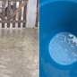 Chuva de granizo surpreendeu moradores de Mongaguá e Itanhaém na manhã deste sábado (5). Fenômeno durou cerca de cinco minutos e foi registrado em vídeos feitos por moradores. - Imagem: Reprodução / g1