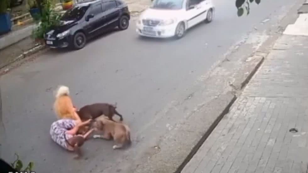 Imagens mostram o momento em que Thayná cai ao tentar proteger seu cachorro - Imagem: Divulgação/ G1