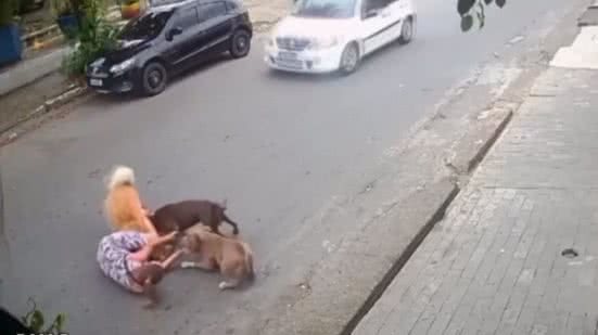 Imagens mostram o momento em que Thayná cai ao tentar proteger seu cachorro - Imagem: Divulgação/ G1
