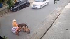 Imagens mostram o momento em que Thayná cai ao tentar proteger seu cachorro - Imagem: Divulgação/ G1