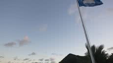 Guarujá ganha selo 'Bandeira Azul' pelo 15º ano consecutivo; saiba o que significa - Imagem: Reprodução/Prefeitura de Guarujá