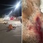 Suspeito foi preso pela Polícia Militar logo após a ocorrência e teve o facão utilizado na agressão apreendido pela polícia em Juquiá - Imagem: Reprodução