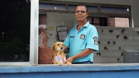 Vira-lata caramelo, Raposinha, junto com o vigia Julio, em Guarujá. - Imagem: Reprodução | Hygor Abreu/ Prefeitura de Guarujá