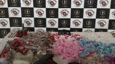 Ocorrência registrada no 5º DP de Santos mobilizou equipes de elite da Polícia Militar - Imagem: Reprodução