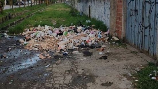 Caso foi encaminhado às secretarias de Meio Ambiente e Serviços Públicos para providências legais e administrativas - Foto: Prefeitura de São Vicente