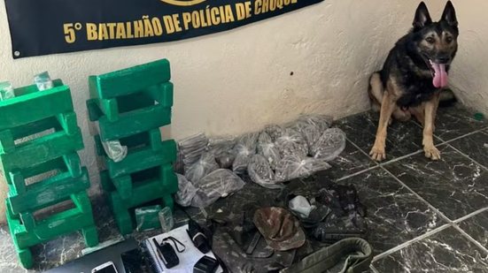 Cão farejador foi essencial para encontrar esconderijo com mais de 23 kg de maconha - Foto: Divulgação