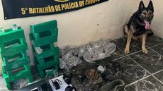 Cão farejador foi essencial para encontrar esconderijo com mais de 23 kg de maconha - Foto: Divulgação
