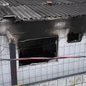Equipes do Corpo de Bombeiros atenderam a ocorrência no bairro Paecará, em Guarujá, após um incêndio atingir uma residência na noite de domingo (2). Uma criança morreu e outra ficou ferida - Imagem: Abner Reis/TV Tribuna