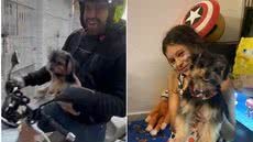 Cleyton voltou para casa após quatro dias longe da família; tutores afirmam que o animal retornou assustado e com comportamento diferente do habitual - Imagem: Arquivo pessoal
