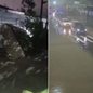Temporal registrado entre sexta-feira (11) e sábado (12) provocou alagamentos, quedas de árvores e danos em diferentes cidades da Baixada Santista e do Vale do Ribeira - Imagem: Reprodução
