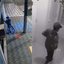 Morador descobre o furto após retornar ao prédio e aciona a polícia para registrar a ocorrência do crime - Imagem: Reprodução/ TH Mais