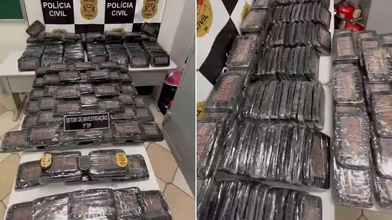 Polícia encontrou mais de 180 kg de cocaína escondidos em sacas de café dentro de galpão em Santos. - Imagem: Polícia Civil / Divulgação