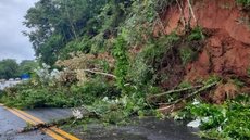 Queda de barreira interditou trecho da Rodovia Padre Manoel da Nóbrega, em Itariri, após sequência de chuvas na região - Imagem: Polícia Militar Rodoviária