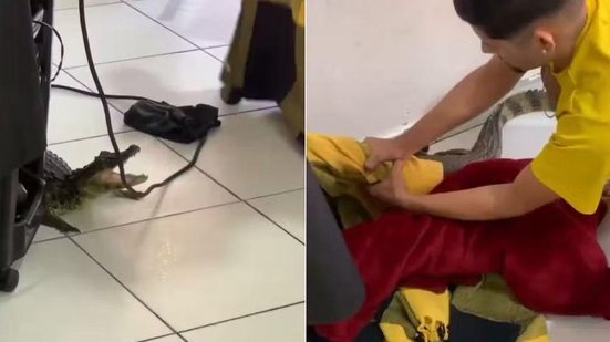 Jacaré surpreendeu clientes ao aparecer dentro de salão de beleza em Cananéia, no litoral paulista. - Imagem: Arquivo Pessoal