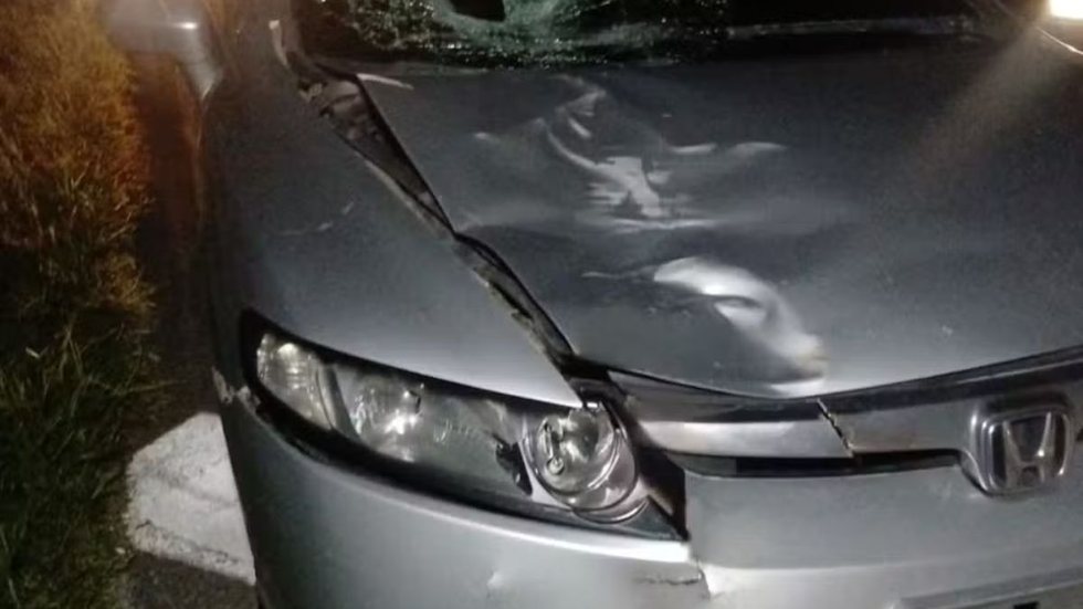 O motorista do carro envolvido no acidente relatou que tentou desviar da vítima, mas não conseguiu evitar a colisão - Imagem: Divulgação/ Artesp