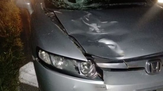 O motorista do carro envolvido no acidente relatou que tentou desviar da vítima, mas não conseguiu evitar a colisão - Imagem: Divulgação/ Artesp