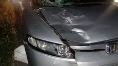 O motorista do carro envolvido no acidente relatou que tentou desviar da vítima, mas não conseguiu evitar a colisão - Imagem: Divulgação/ Artesp
