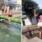 Jovens saltam de tubulação e mureta de proteção de canal na Zona Noroeste de Santos; vídeo repercutiu nas redes sociais - Imagem: Reprodução/Redes Sociais
