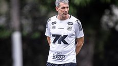 Com 37 pontos, Santos precisa vencer para se afastar da zona de rebaixamento - Foto: Raul Baretta/ Santos FC