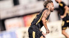 Santos busca vitória fora de casa para se distanciar da zona de rebaixamento - Foto: Raul Baretta / Santos FC