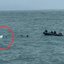 Apesar da lancha ter sido encontrada, as buscas por Bruno e Lucídio continuam com apoio de diversas equipes de resgate - Foto: Capitania dos Portos de SP