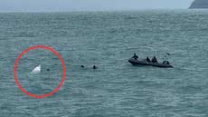 Apesar da lancha ter sido encontrada, as buscas por Bruno e Lucídio continuam com apoio de diversas equipes de resgate - Foto: Capitania dos Portos de SP