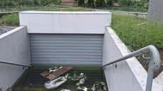 Lixo e água acumulada na Praça Mauá, em frente ao Paço Municipal, têm causado transtornos a pedestres após as chuvas em Santos. - Imagem: Diário do Litoral