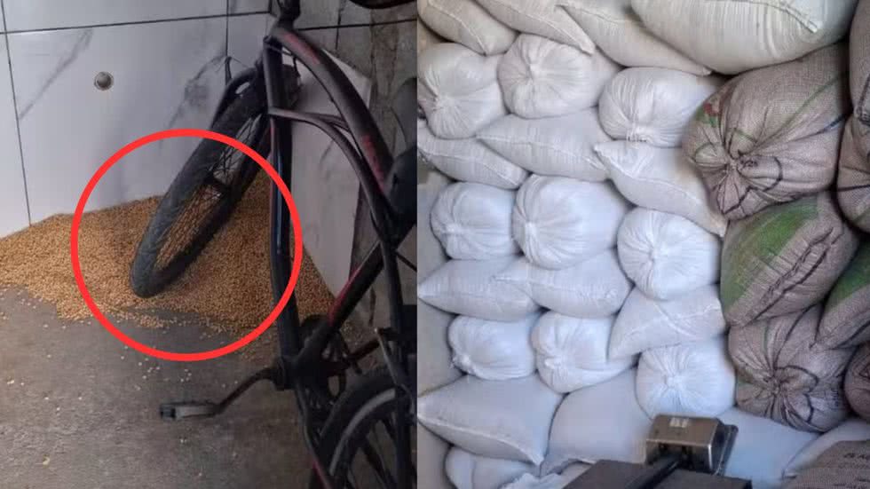 A Rumo destaca a necessidade de apoio das forças policiais para enfrentar os ataques frequentes ao setor ferroviário na Baixada Santista - Imagem: Divulgação/ Polícia Civil