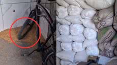 A Rumo destaca a necessidade de apoio das forças policiais para enfrentar os ataques frequentes ao setor ferroviário na Baixada Santista - Imagem: Divulgação/ Polícia Civil