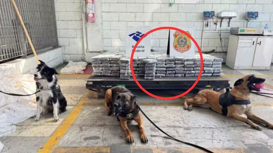 A apreensão destaca a importância dos cães farejadores na luta contra o tráfico de drogas no Brasil, especialmente em portos - Foto: Divulgação/ Receita Federal