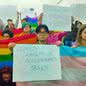 "Aberrações": vereadora de SP ofende comunidade LGBT e causa onda de protestos - Imagem: reprodução Diário de S.Paulo