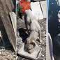 Objetivo é reduzir o risco de os animais serem novamente vítimas de maus-tratos - Imagem: Reprodução/PM Ambiental/Divulgação