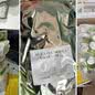 Medicamentos ilegais apreendidos - Imagem: Reprodução/Polícia Federal