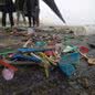 Dados preocupantes sobre a poluição por plásticos no litoral brasileiro. - Imagem: Reprodução/Sea Shepherd Brasil