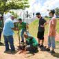 As árvores vieram de compensação ambiental - Imagem: Prefeitura de Santos