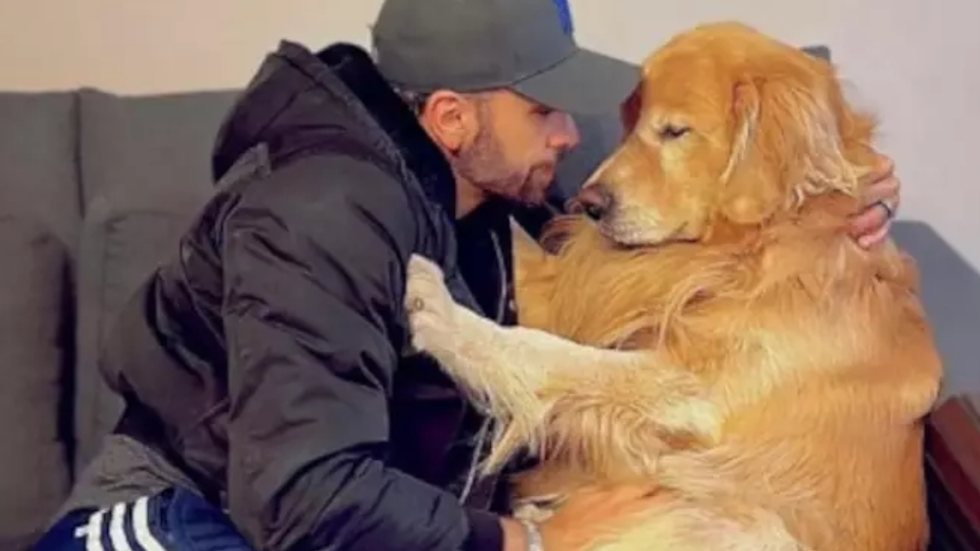 A senadora Margareth Buzetti celebra a aprovação e destaca a importância de diretrizes específicas para a proteção dos pets durante viagens - Imagem: Reprodução/Instagram/@jfantazzini