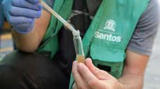 Vacina contra dengue disponível para jovens; medidas de prevenção são essenciais para evitar a proliferação do vetor - Imagem: Divulgação/ Prefeitura de Santos