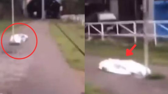O corpo da vítima foi localizado por volta das 9h na Rua Santa Catarina, no bairro José Menino, e apresenta ferimentos diversos - Imagem: Reprodução