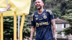 Campo 1 do CT Rei Pelé recebe gramado sintético de padrão internacional, homologado pela FIFA - Imagem:  Raul Baretta/ Santos FC