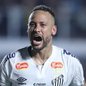 O gramado sintético da Arena MRV é um desafio para Neymar, que já criticou o campo, mas é a esperança do Santos em um momento delicado - Foto: Reinaldo Campos/ AGIF